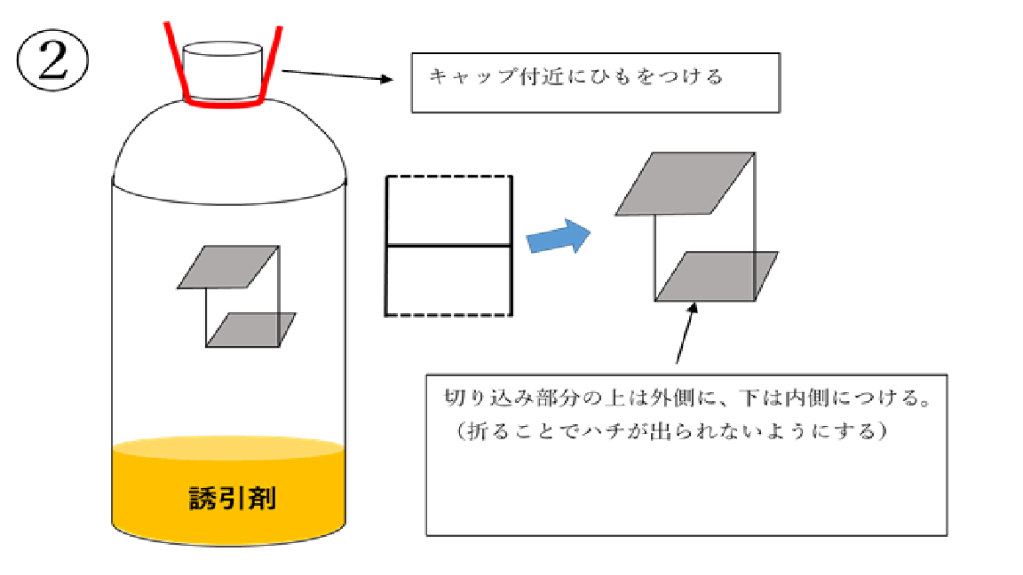 ペットボトルトラップの作り方2