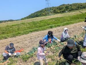 玉ねぎ収穫中3