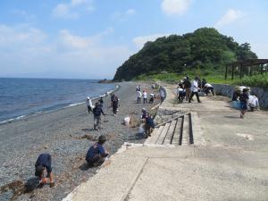 海岸清掃の様子