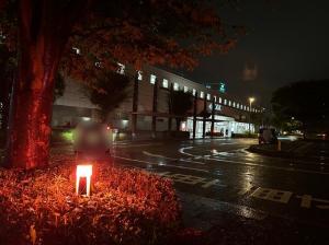 駅前街灯