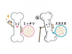 あなたの骨