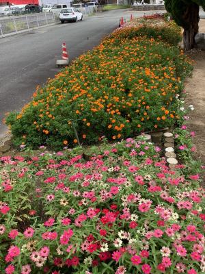 華南一区自治会