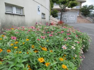 防府市立西浦小学校