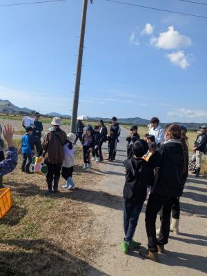 玉ねぎ植付体験④