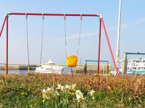 定期船の到着とスイセンが咲く様子