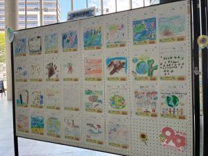 展示(富海小学校分)