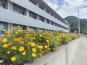 花だん写真