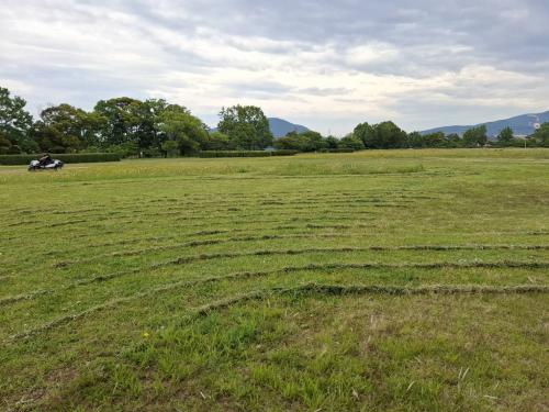 史跡周防国衙跡公園内の様子の写真