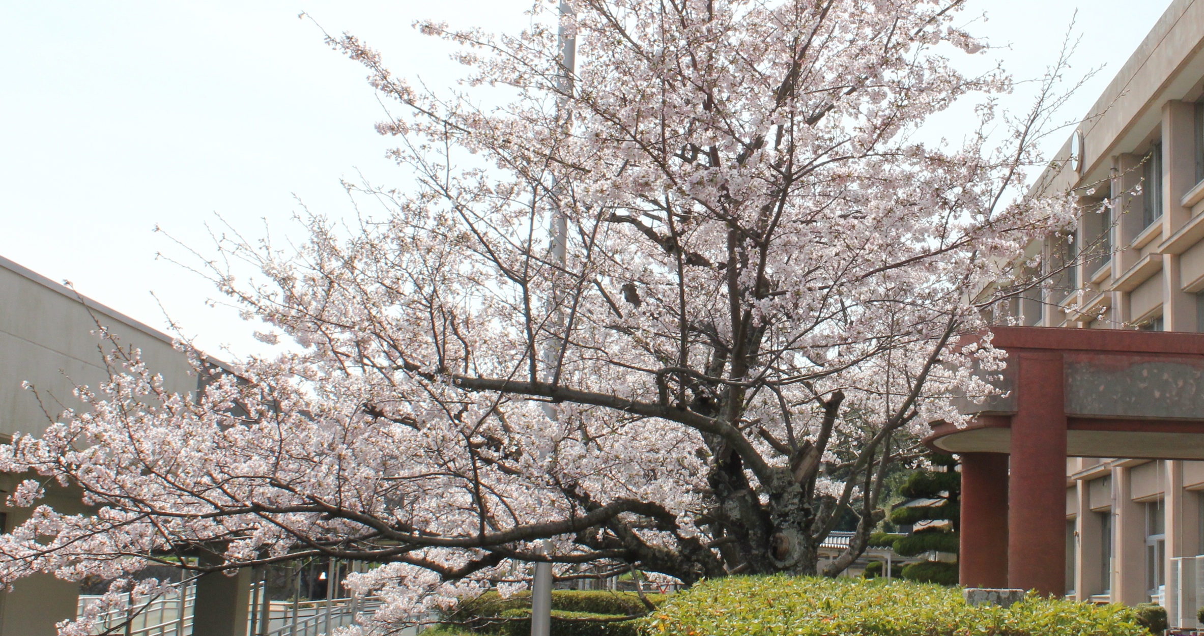 防府市立華西中学校のタイトル画像